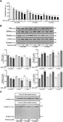 The Impairments of α-Synuclein and Mechanistic Target of Rapamycin in Rotenone-Induced SH-SY5Y Cells and Mice Model of Parkinson’s Disease